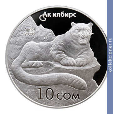Full 10 somov 2012 goda snezhnyy bars