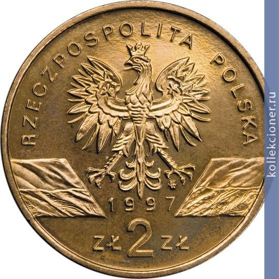 Full 2 zlotyh 1997 goda zhuk olen