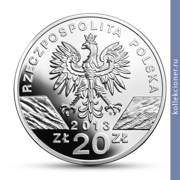 Full 20 zlotyh 2013 goda zubr