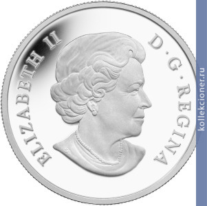 Full 25 dollarov 2015 goda ranenyy medved