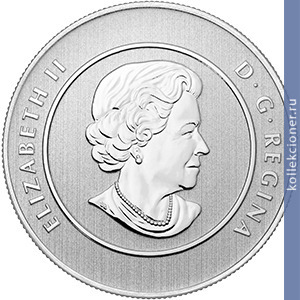 Full 20 dollarov 2013 goda aysberg