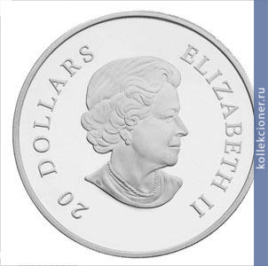 Full 20 dollarov 2010 goda sinyaya snezhinka s kristallami