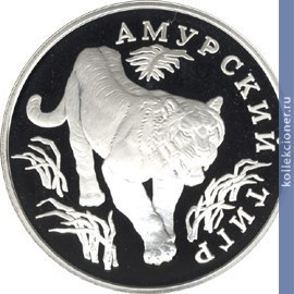 Full 1 rubl 1993 goda amurskiy tigr