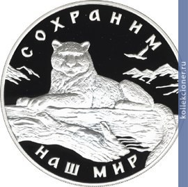 Full 3 rublya 2000 goda snezhnyy bars