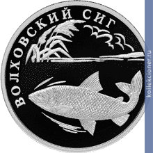 Full 1 rubl 2005 goda volhovskiy sig