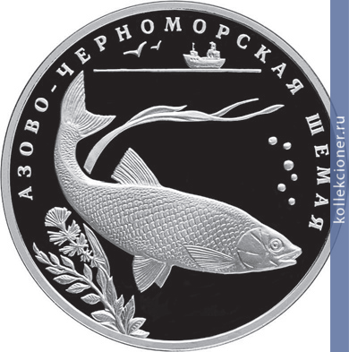 Full 2 rublya 2008 goda azovo chernomorskaya shemaya