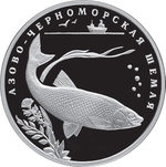 Thumb 2 rublya 2008 goda azovo chernomorskaya shemaya