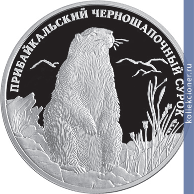 Full 2 rublya 2008 goda pribaykalskiy chernoshapochnyy surok