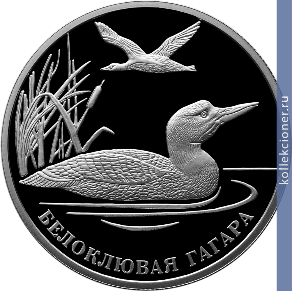 Full 2 rublya 2012 goda beloklyuvaya gagara