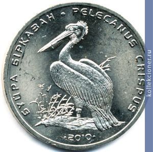 Full 50 tenge 2010 goda kudryavyy pelikan