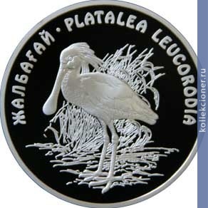 Full 500 tenge 2007 goda kolpitsa