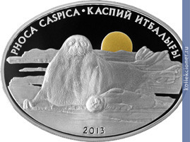 Full 500 tenge 2013 goda kaspiyskiy tyulen