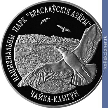 Full 20 rubley 2003 goda natsionalnyy park braslavskie ozera chayka serebristaya