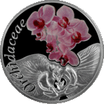 Thumb 10 rubley 2013 goda orhideya orchidaceae
