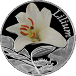 Thumb 10 rubley 2013 goda liliya lilium