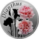 Thumb 10 rubley 2013 goda gvozdika dianthus