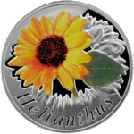Thumb 10 rubley 2013 goda podsolnechnik helianthus