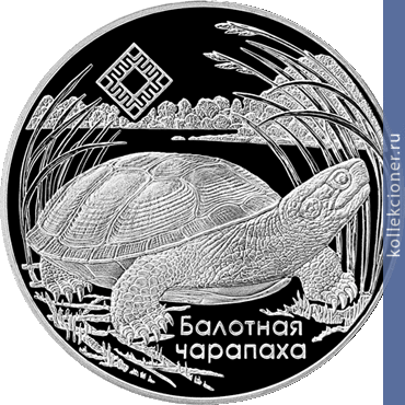 Full 20 rubley 2010 goda srednyaya pripyat