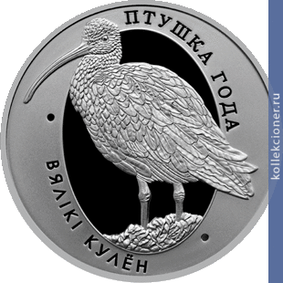 Full 1 rubl 2011 goda bolshoy kronshnep