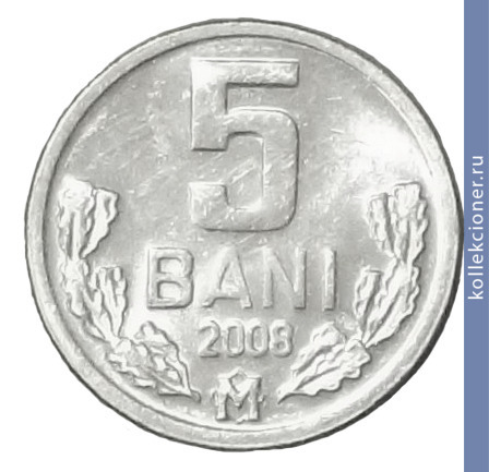 Full 5 bani 2008 g
