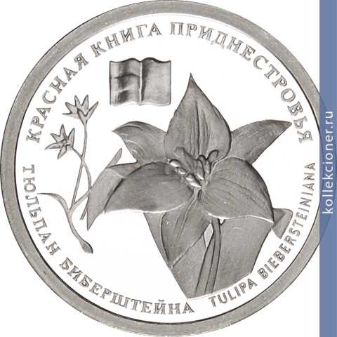 Full 10 rubley 2008 goda tyulpan