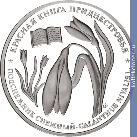 Full 10 rubley 2009 goda podsnezhnik snezhnyy