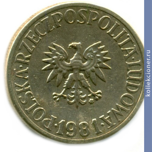 Full 5 zlotyh 1981 goda