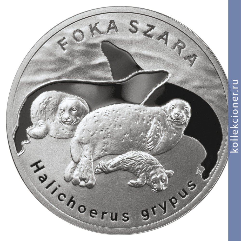 Full 20 zlotyh 2007 goda dlinnomordyy tyulen