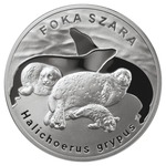Thumb 20 zlotyh 2007 goda dlinnomordyy tyulen