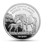 Thumb 20 zlotyh 2014 goda polskiy konik