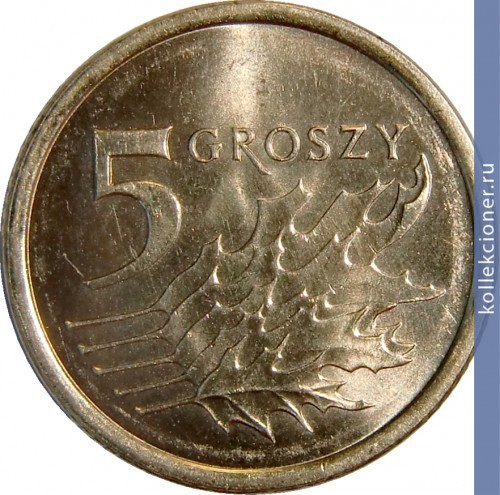 Full 5 groshey 2012 g