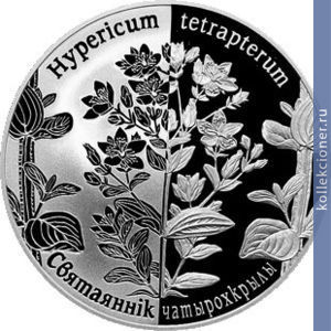 Full 1 rubl 2013 goda zveroboy chetyrehkrylyy