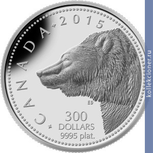 Full 300 dollarov 2015 goda grizli