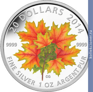 Full 20 dollarov 2014 goda klenovye listya