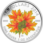 Thumb 20 dollarov 2014 goda klenovye listya