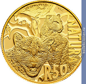Full 50 rendov 2014 goda nochnye ohotniki leopard