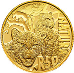 Thumb 50 rendov 2014 goda nochnye ohotniki leopard