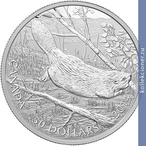 Full 50 dollarov 2013 goda plyvuschiy bobr