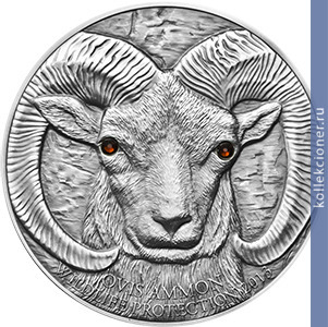 Full 500 tugrikov 2013 goda arhar ovis ammon