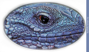 Full 2 dollara 2012 goda golubaya iguana