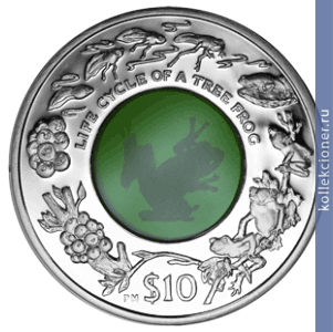 Full 10 dollarov 2011 goda zhiznennyy tsikl drevesnoy lyagushki