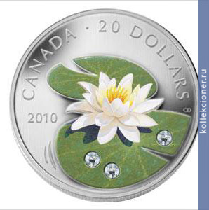 Full 20 dollarov 2010 goda vodnaya liliya
