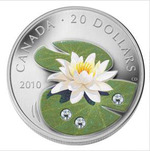Thumb 20 dollarov 2010 goda vodnaya liliya